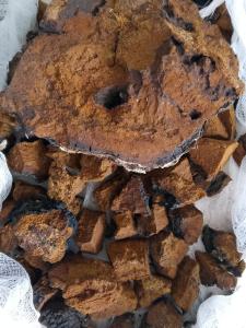 Чага берёзовая сушеная